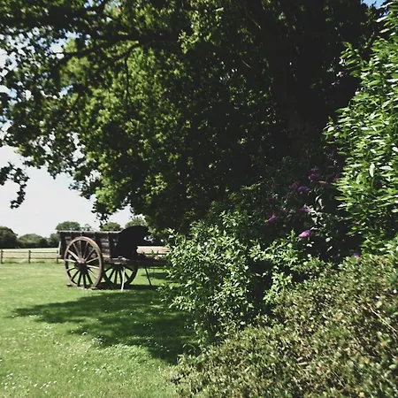 Magnifique Maison Au Coeur Du Perche Avec Piscine Chauffee, Sauna Et Hammam Grande Courbetiere