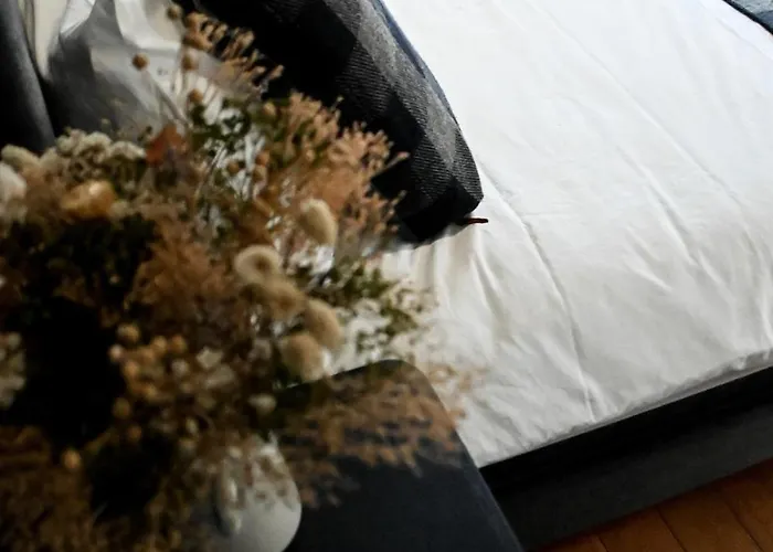 Magnifique Maison Au Coeur Du Perche Avec Piscine Chauffée, Sauna Et Hammam Hébergement de vacances Grande Courbetiere