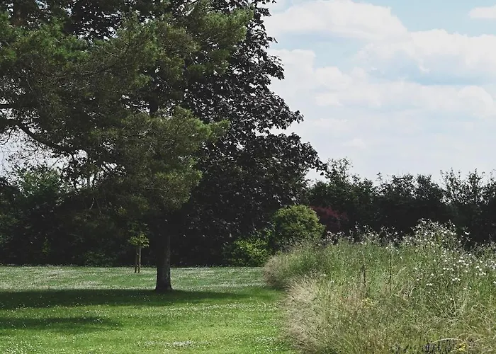 Magnifique Maison Au Coeur Du Perche Avec Piscine Chauffée, Sauna Et Hammam Grande Courbetiere
