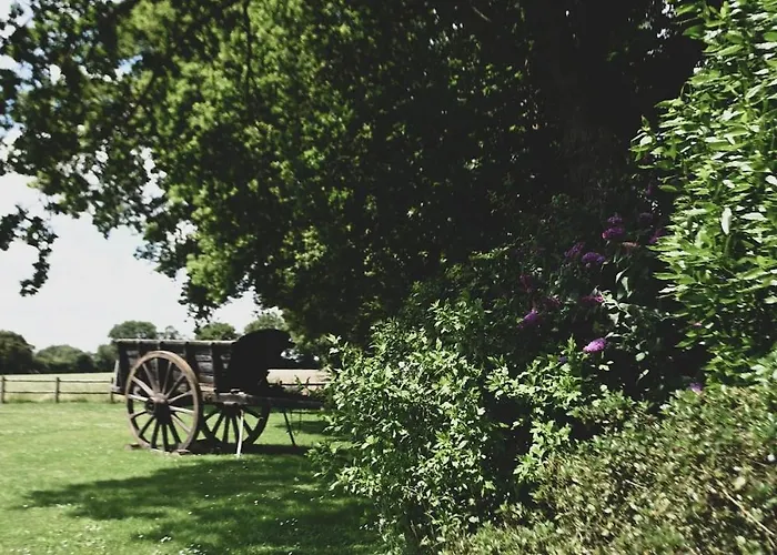 Magnifique Maison Au Coeur Du Perche Avec Piscine Chauffée, Sauna Et Hammam Grande Courbetiere
